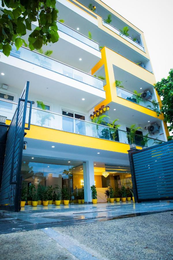 Lime Tree Luxury - Service Near Artemis Hospital ,gurgaon Gurgaon