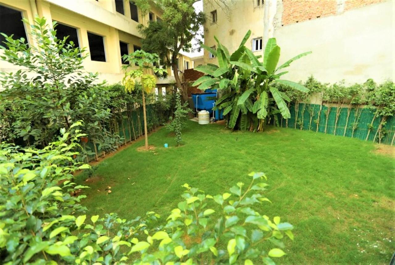 Arch International 4* Kapas Hera