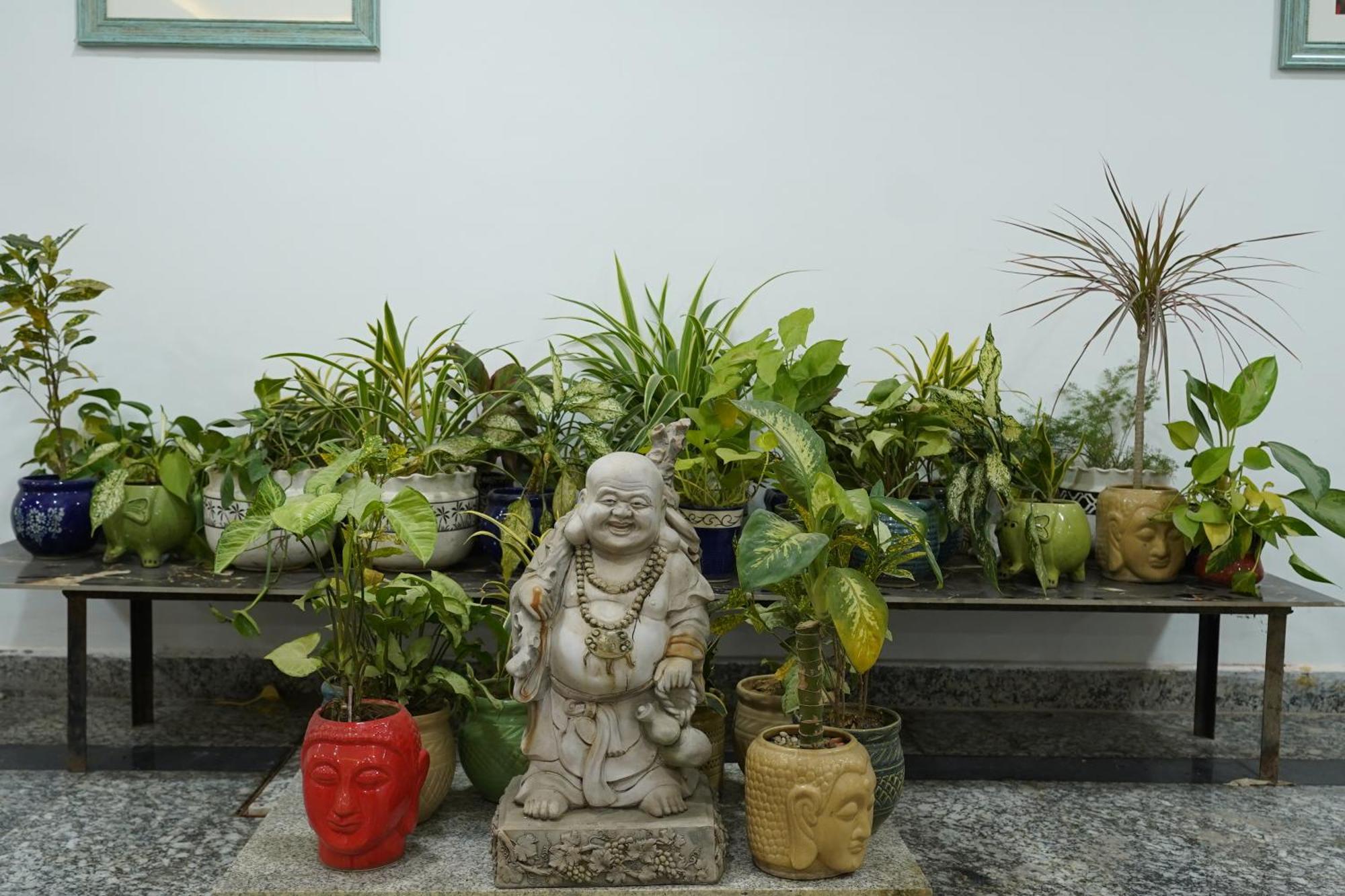 Posh Garden Artemis Hospital Road