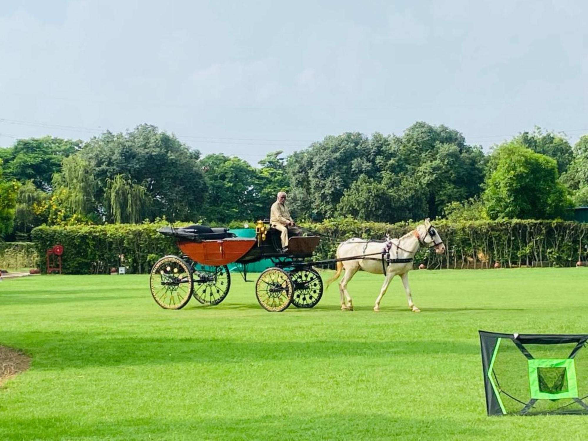 Heritage Village & Manesar-gurgaon Gurgaon