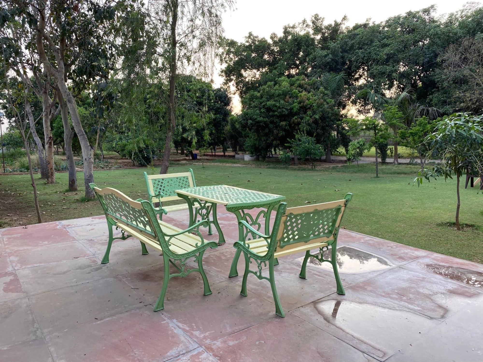 Orchard At Sarai - Private Cottage, Large Lawn, & Pet Friendly Holiday home *