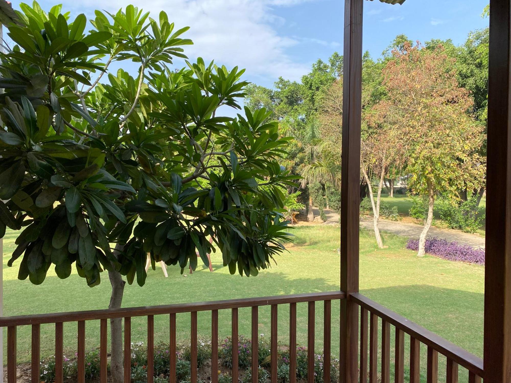 Orchard At Sarai - Private Cottage, Large Lawn, & Pet Friendly