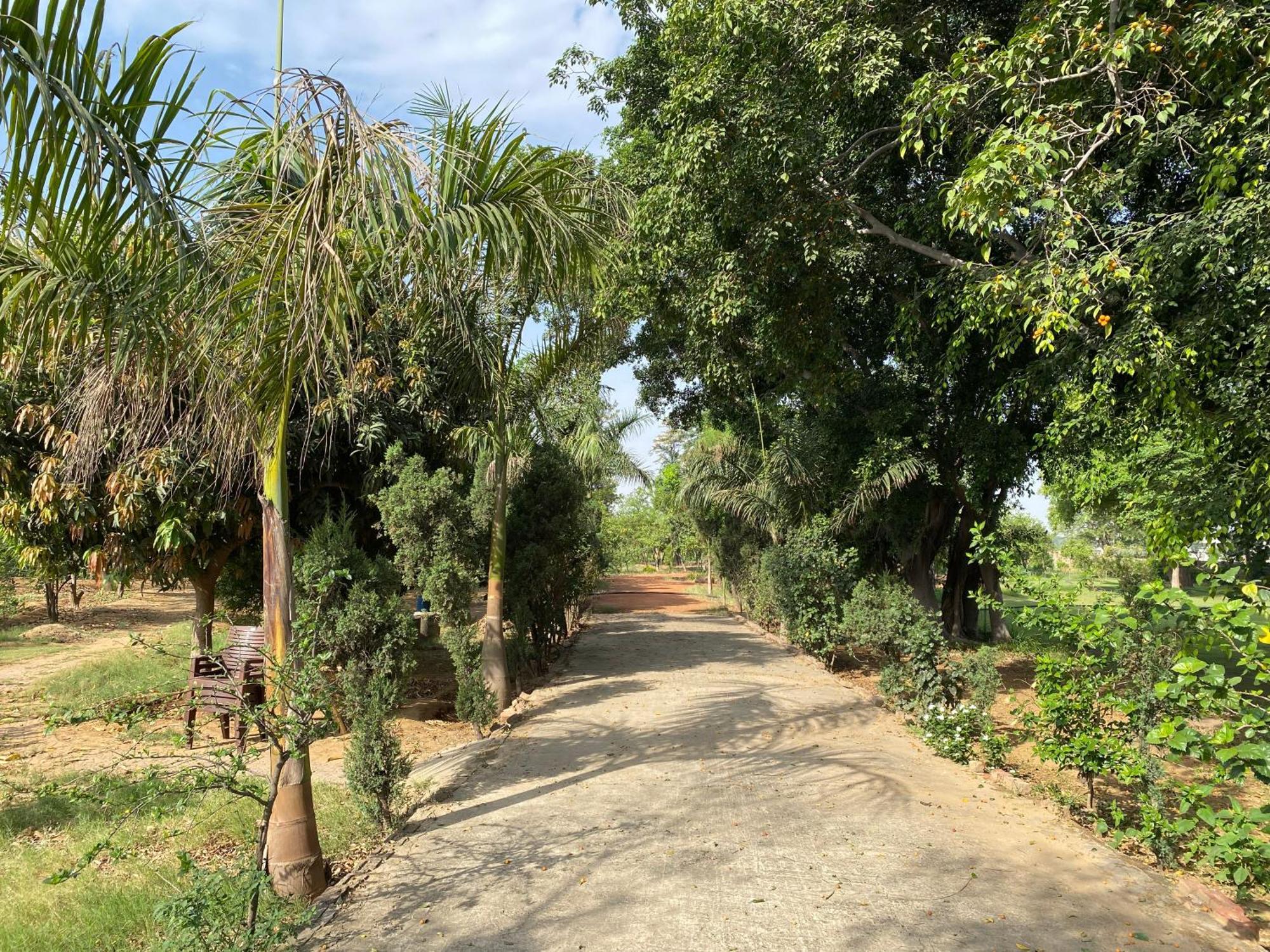 Orchard At Sarai - Private Cottage, Large Lawn, & Pet Friendly