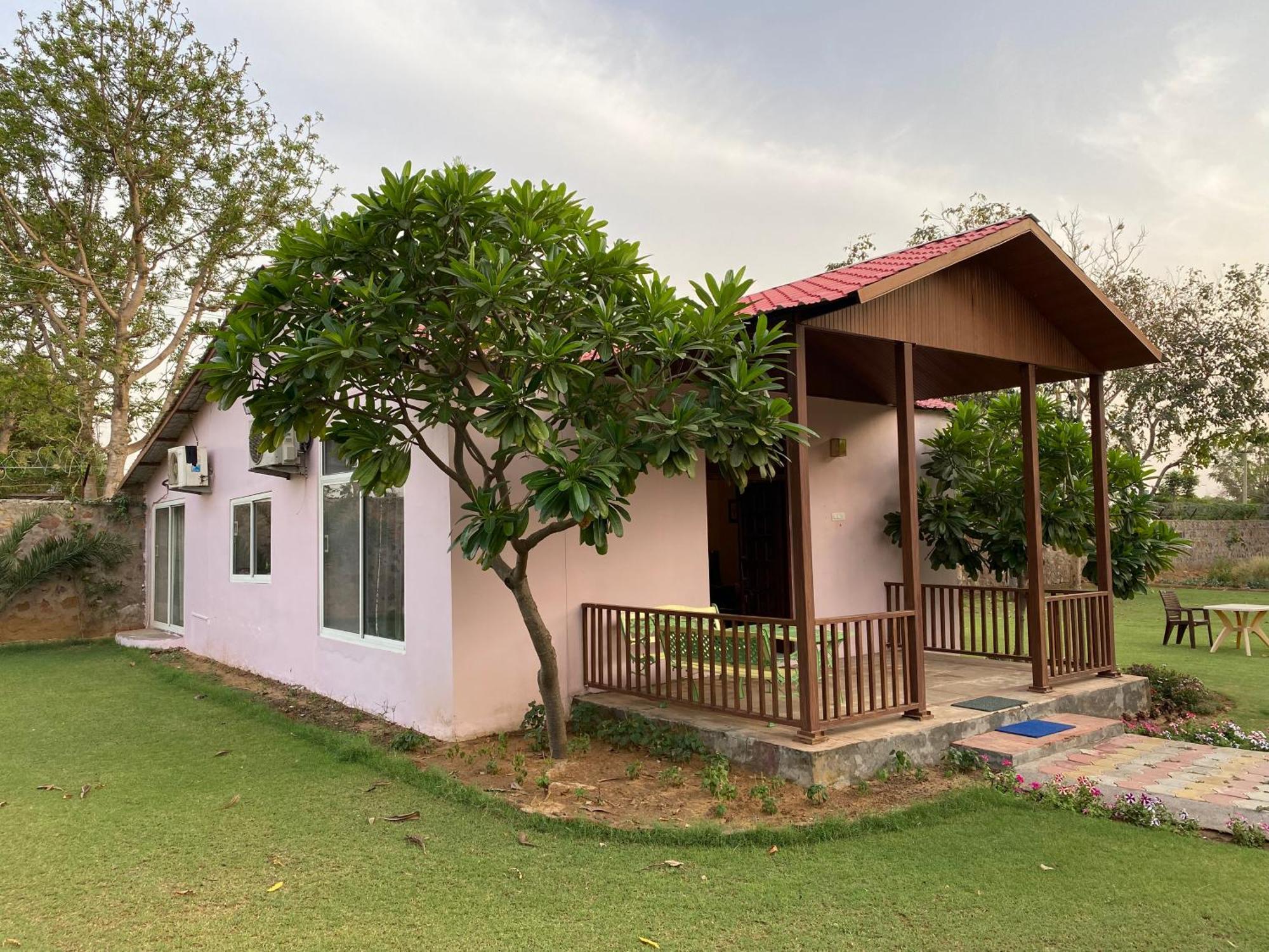Orchard At Sarai - Private Cottage, Large Lawn, & Pet Friendly