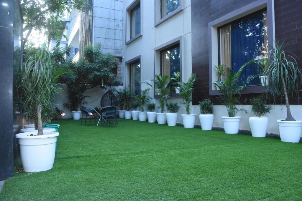 Posh Garden Artemis Hospital Road Hotel Gurgaon