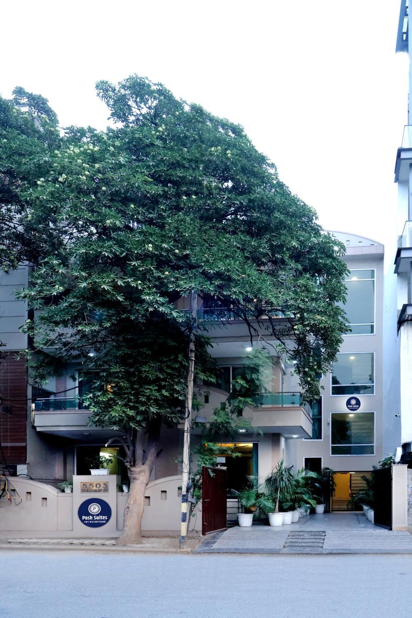 Posh - Golf Course Road Gurgaon