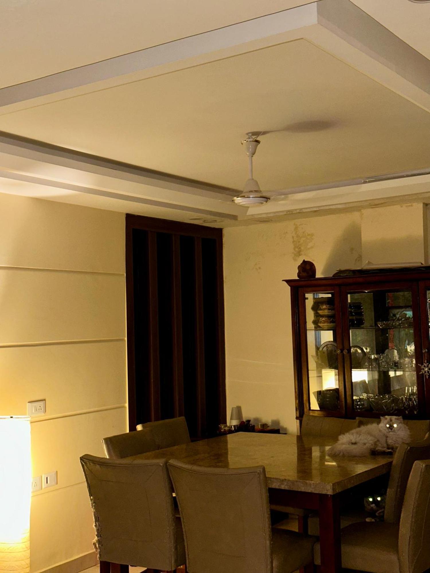 Animal Lovers Cozy Paradise In Sector 49 Homestay Gurgaon