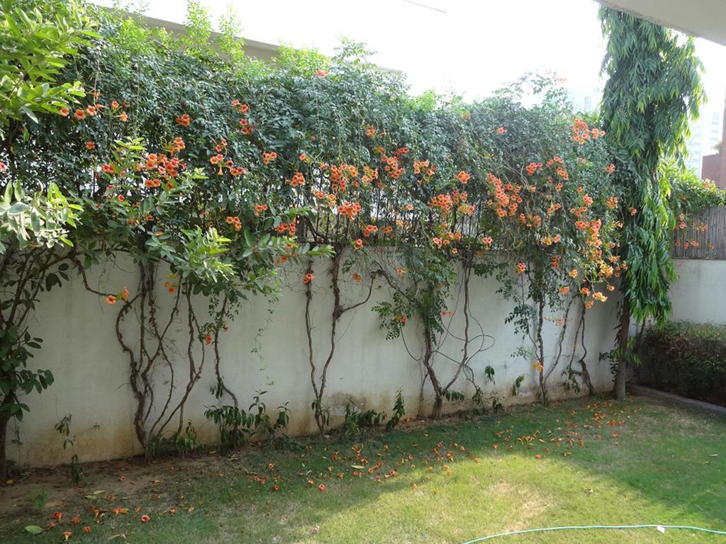 Cinnamon Homestay, Off Sohna Road 3*
