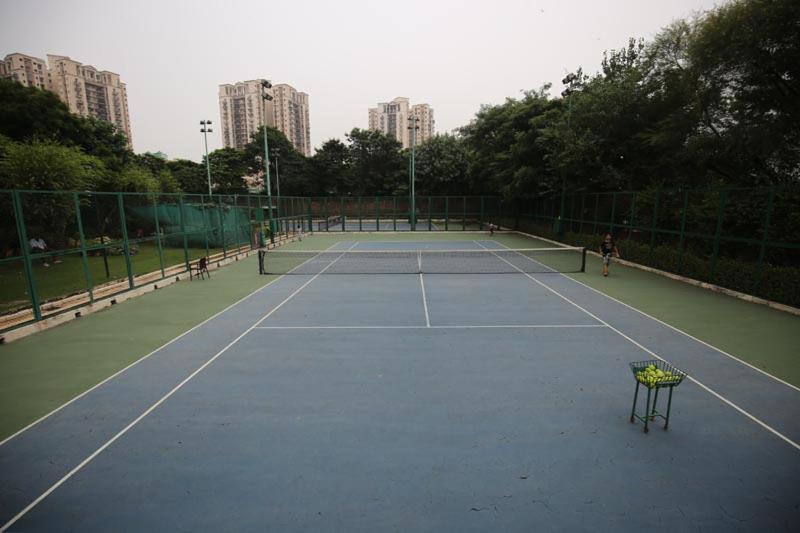 Dlf Club 4 4*