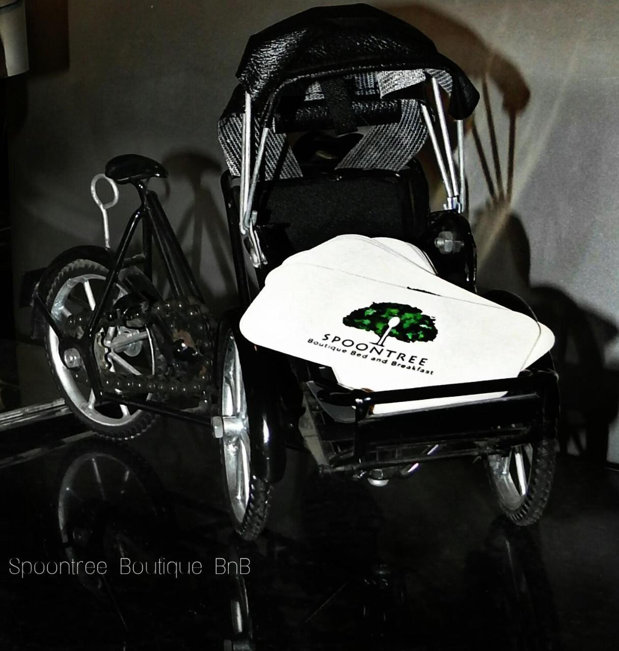 Hotel Spoontree Boutique 3*