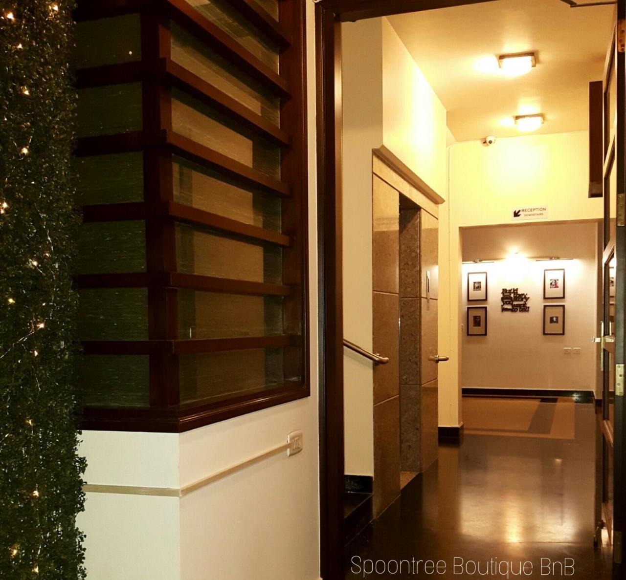 Spoontree Boutique