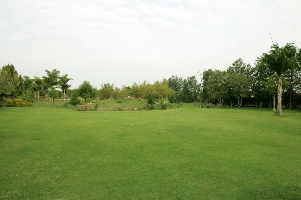 Surjivan Gurgaon