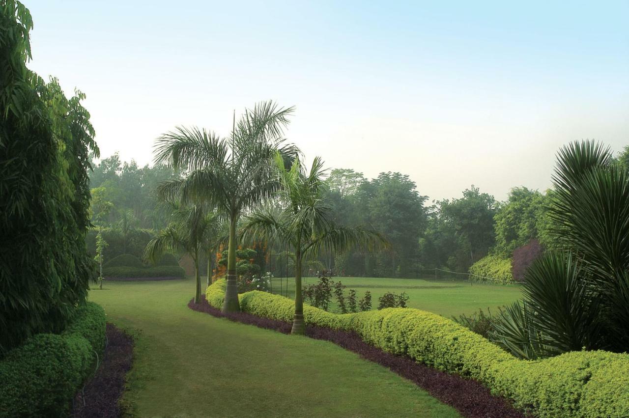 Surjivan