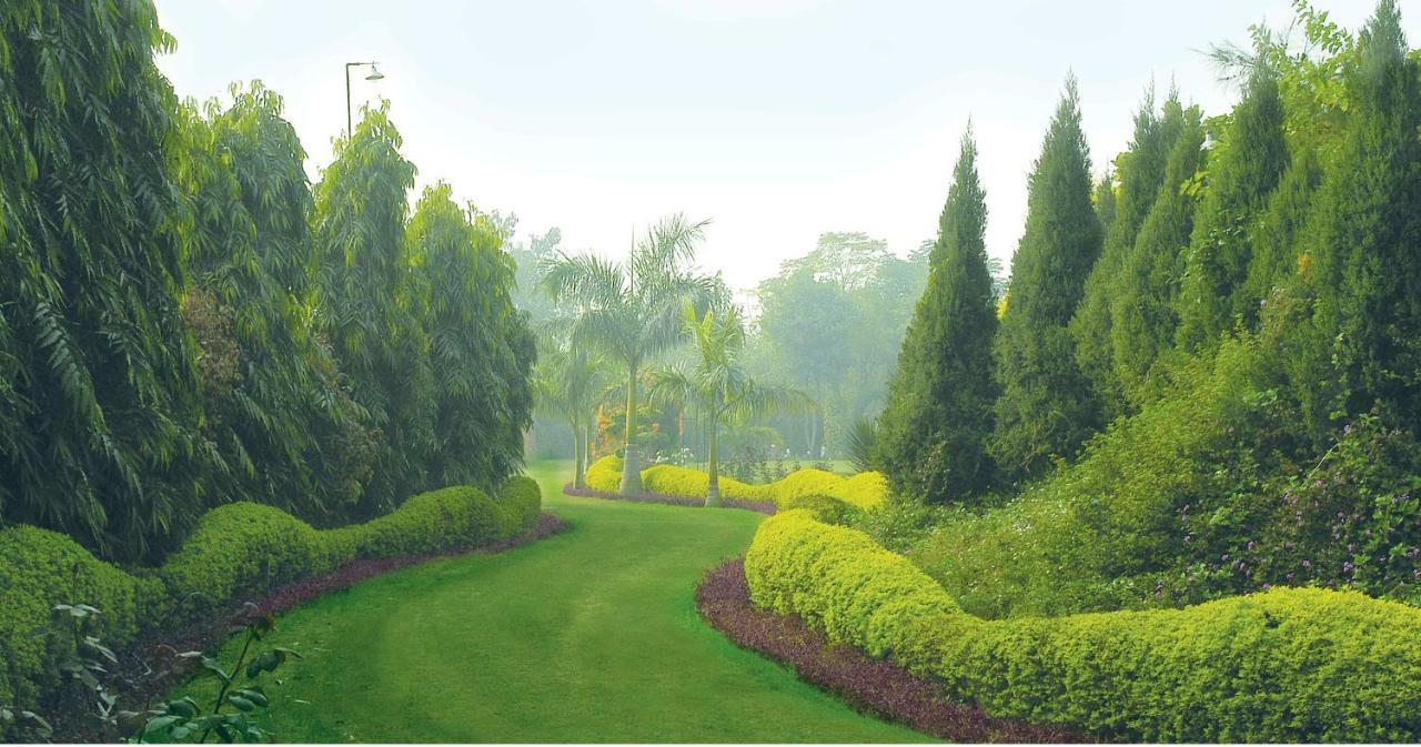 Resort Surjivan