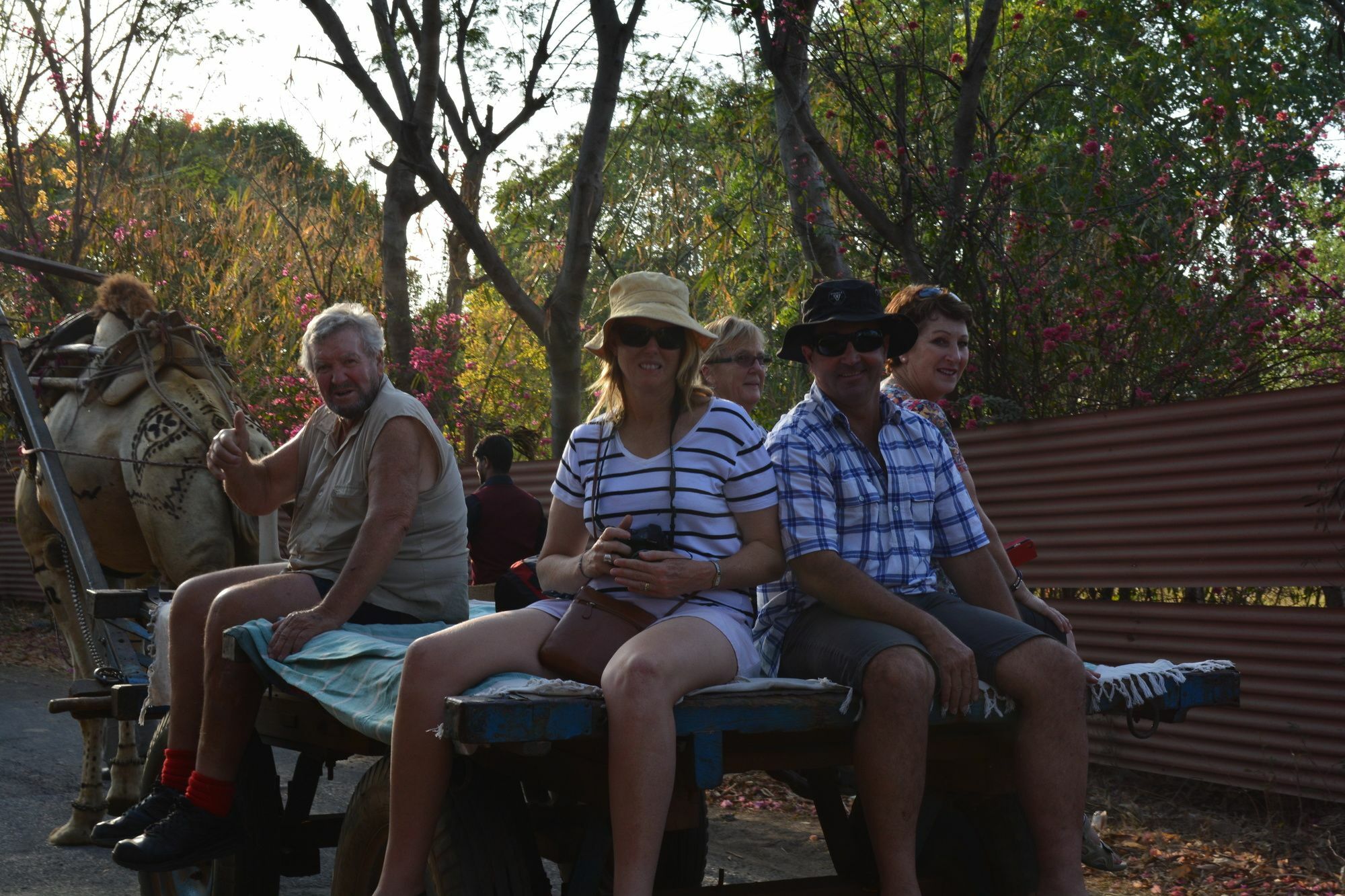 Resort Surjivan