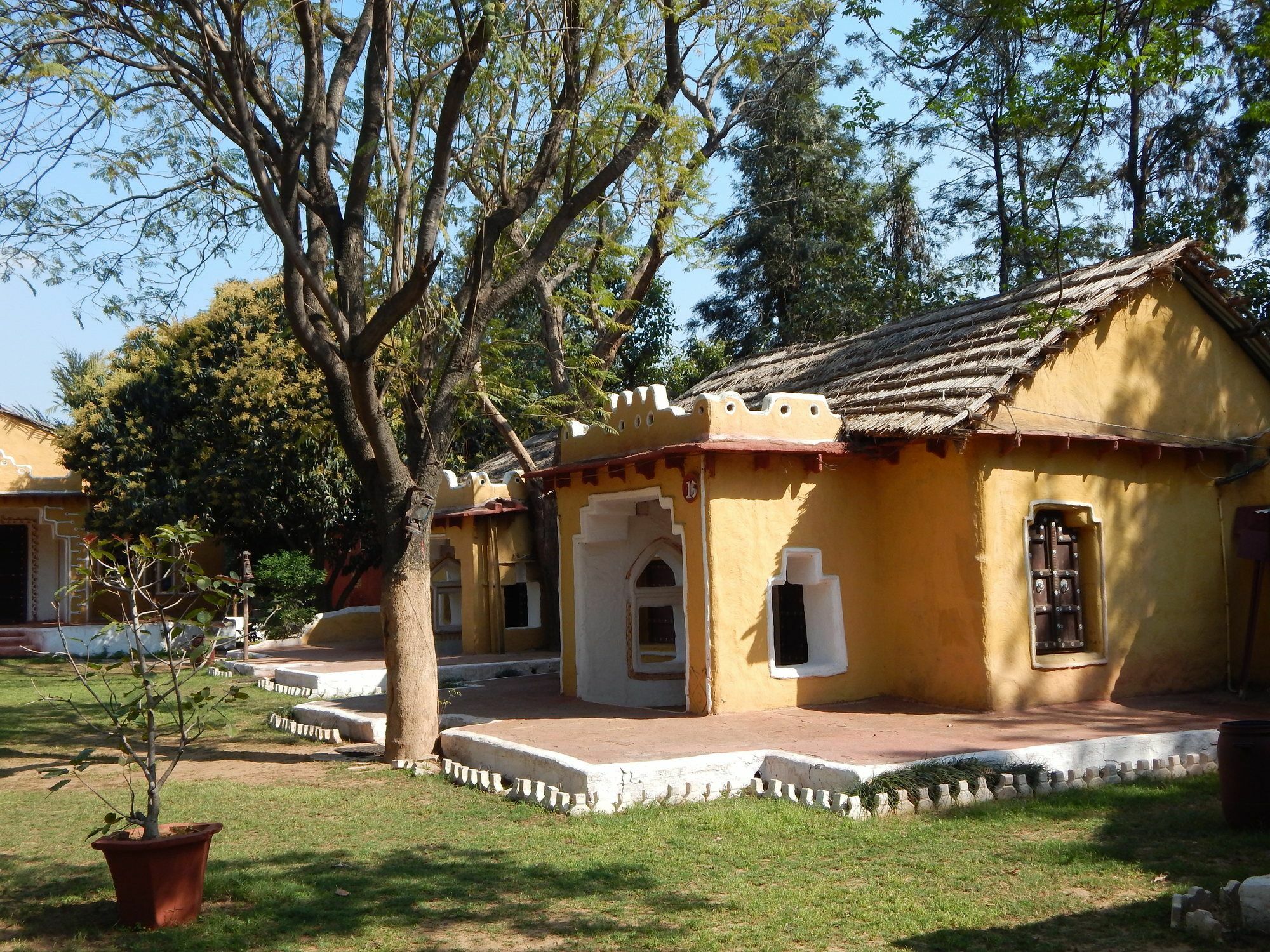 Surjivan