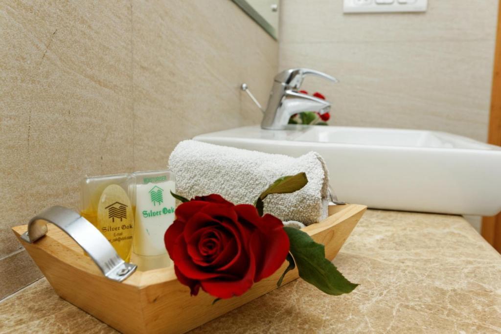 Hotel Silver Oak @ 56a 3*